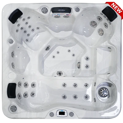 Costa-X EC-749LX hot tubs for sale in Tampa