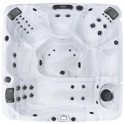 Avalon-X EC-840LX hot tubs for sale in Tampa