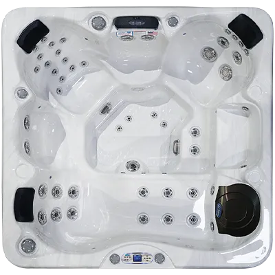 Avalon EC-849L hot tubs for sale in Tampa