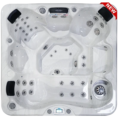 Avalon-X EC-849LX hot tubs for sale in Tampa