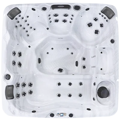 Avalon EC-867L hot tubs for sale in Tampa