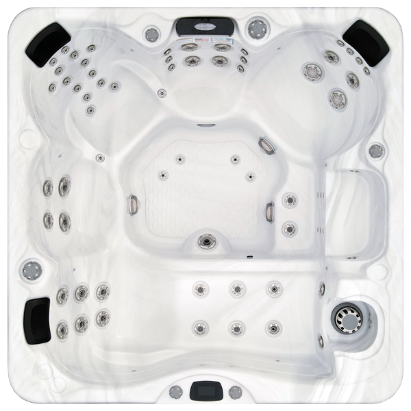 Avalon-X EC-867LX hot tubs for sale in Tampa