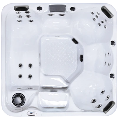 Hawaiian Plus PPZ-634L hot tubs for sale in Tampa